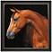 Jack the Horse 42" Square Giclee Framed Wall Art