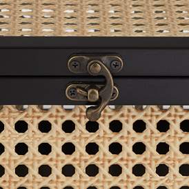 Image4 of Jamboree Black Wood and Painted Mesh Decorative Boxes Set of 2 more views