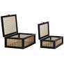 Jamboree Black Wood and Painted Mesh Decorative Boxes Set of 2 in scene