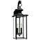 Jamestowne 20 1/4" High Black 2-Light LED Outdoor Wall Light