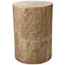 1_Jamie Young Agave 12" Wide Natural Wood Side Table