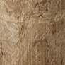 2_Jamie Young Agave 12" Wide Natural Wood Side Table more views