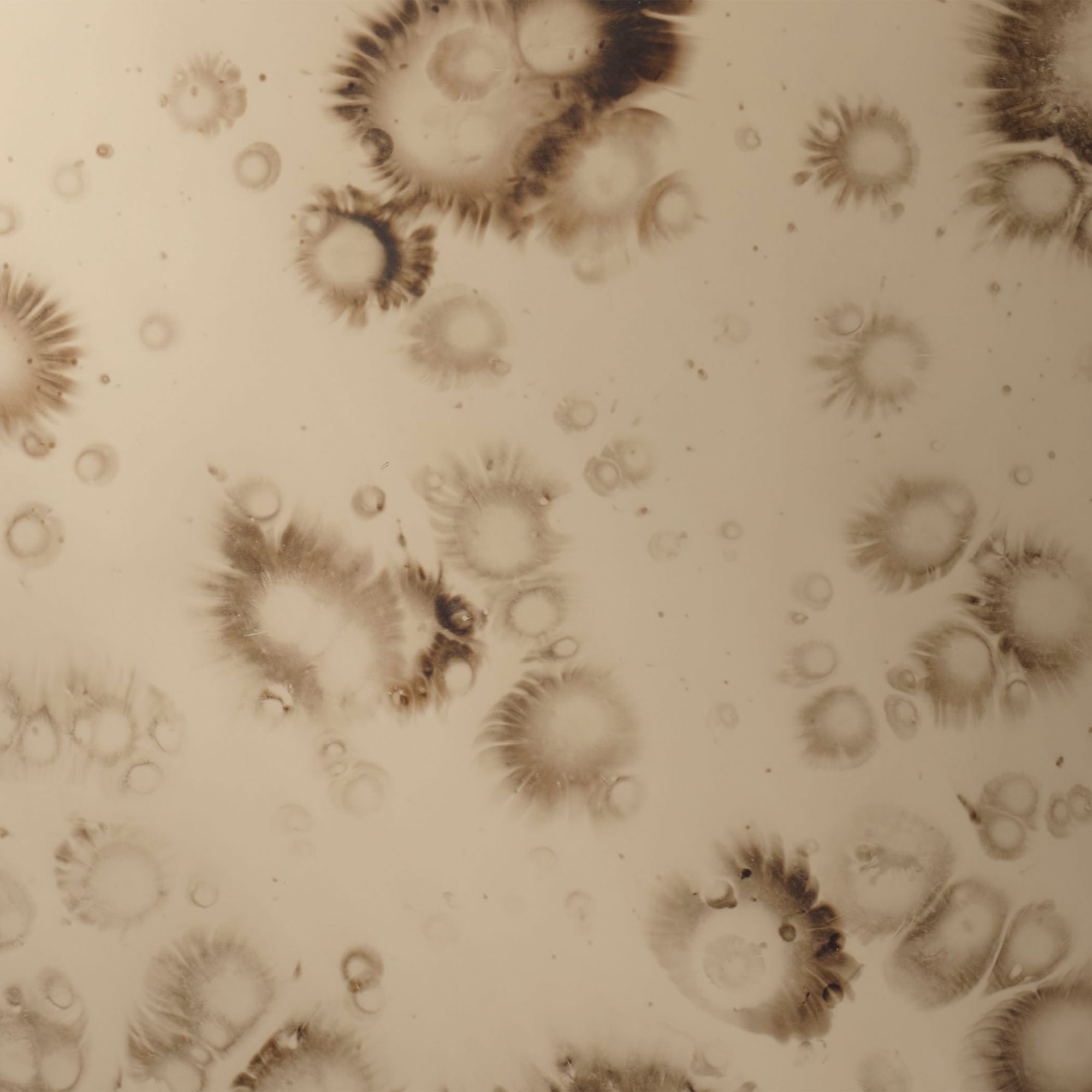 Image 3 Jamie Young Chambord Antiqued Glass Round Wall Mirror 32" in Antique Brass more views