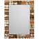 Jamie Young Faux Horn 28" x 36" Rectangular Wall Mirror