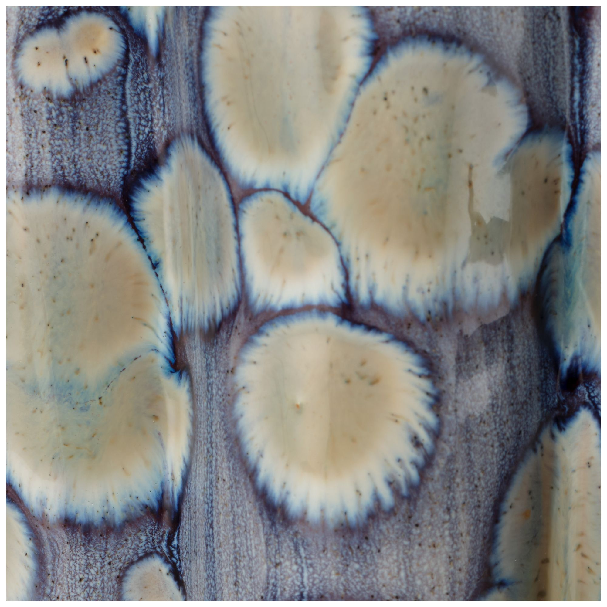 Image 4 Jamie Young Flurry Ceramic Small Table Lamp with Linen Shade more views