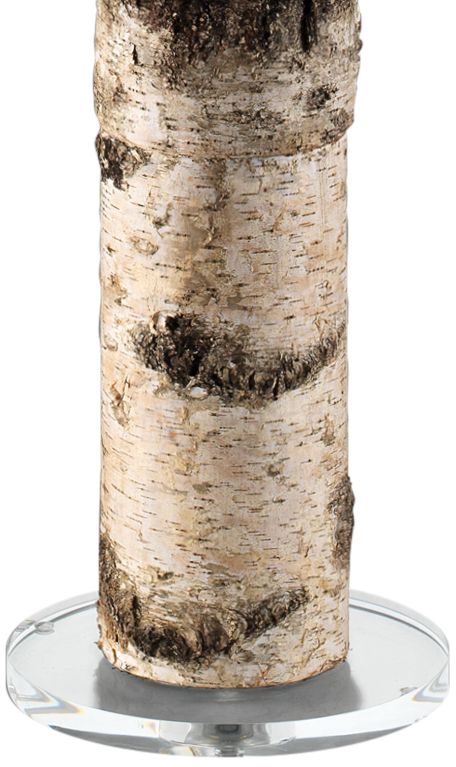 birch floor lamp