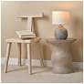 2_Jamie Young Parlor Mango Wood Chair in White more views