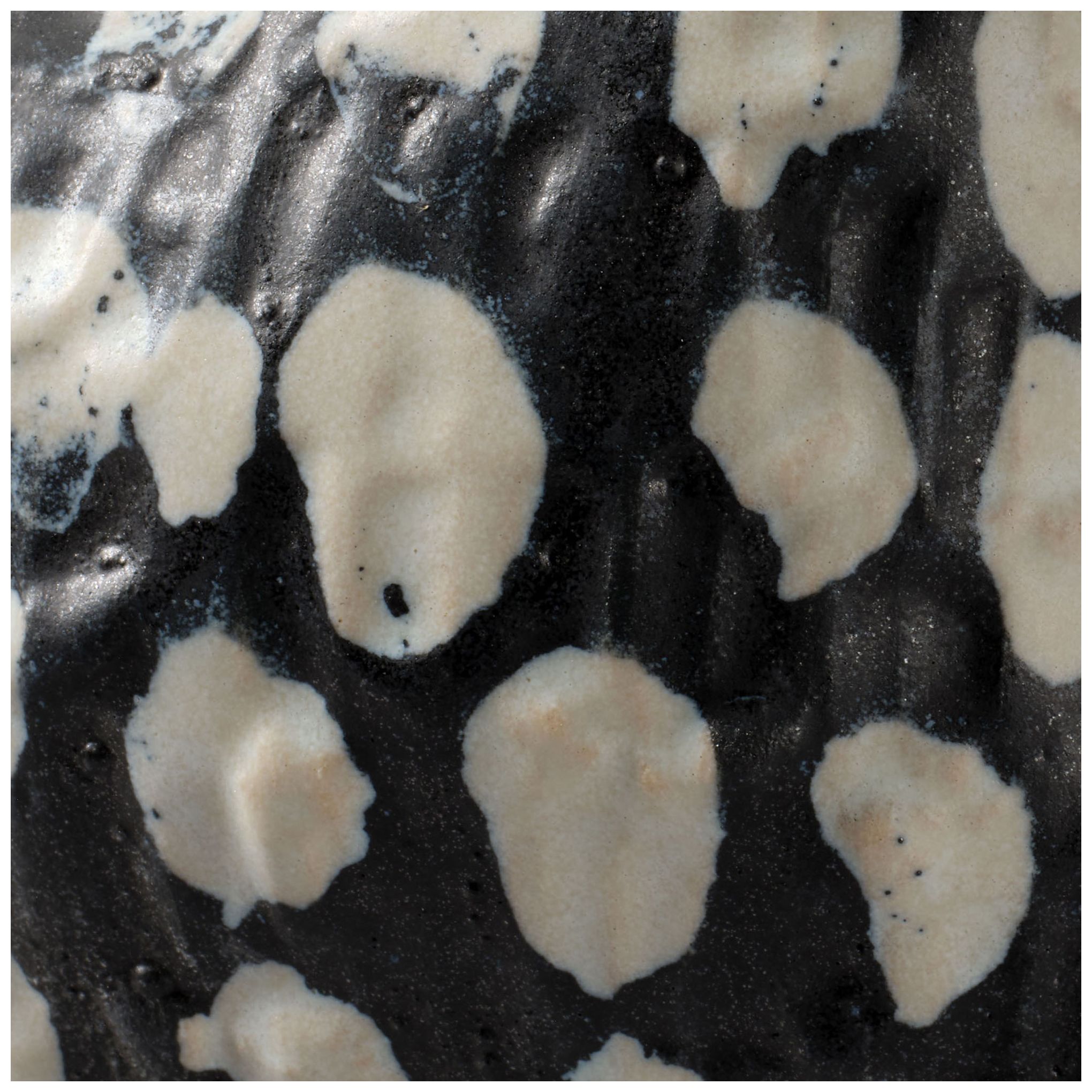 Image 2 Jamie Young Pinpoint Ceramic Vase 11.5" in Black more views