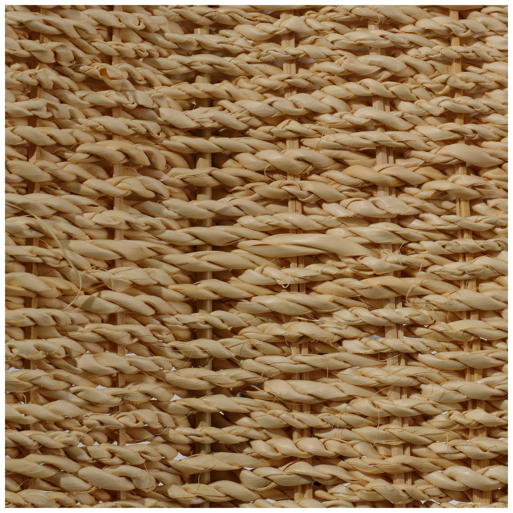 Image 4 Jamie Young Rosemary 1-Light Natural Palm Leaf Pendant 139.5" in Large more views