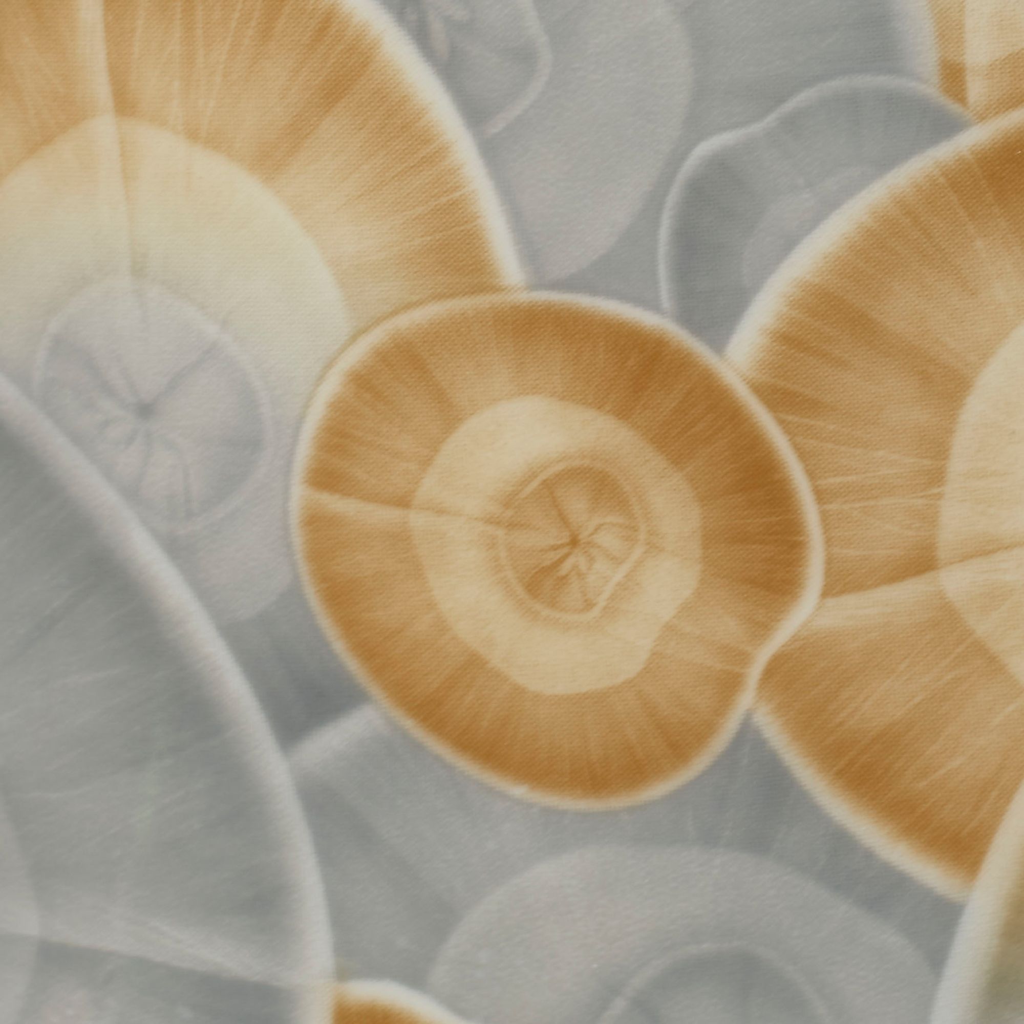 Image 4 Jamie Young Serene Ceramic Table Lamp with Raffia Shade more views