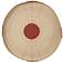 Jamie Young Sundial Seagrass Round Wall Art in Rust