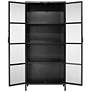 6_Jamie Young Union Tall Curio Black Iron Cabinet more views