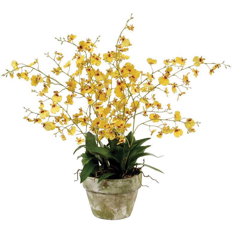 Image 1 Jane Seymour 26 inch Yellow Oncidium Orchid in Clay Pot