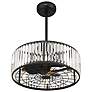 5_Janus 5-Light Fan D'Lier in Matte Black more views