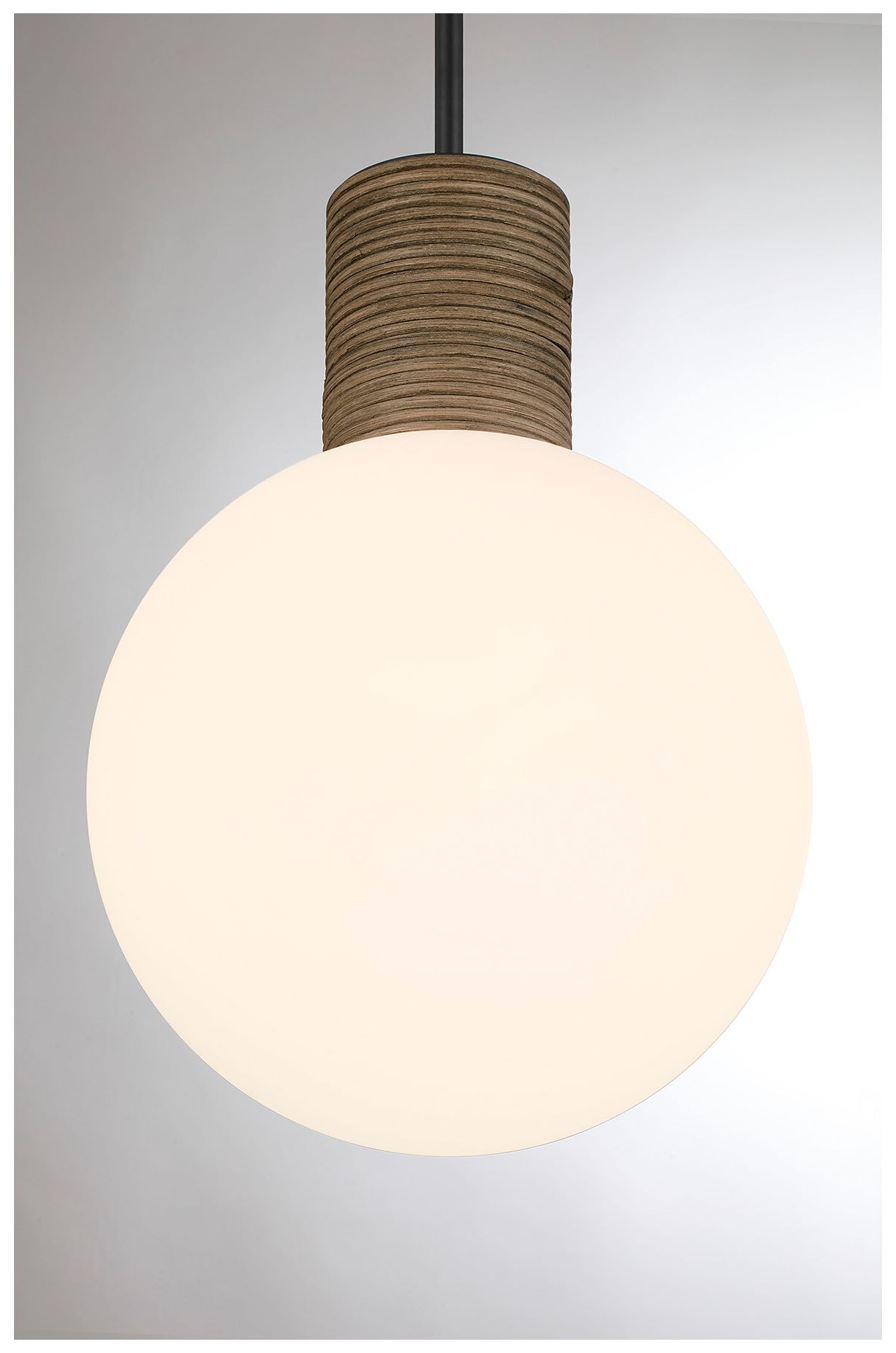Image 3 Jarrell 1-Light Pendant in Matte Black more views
