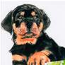 3_Java's Paw 23 1/4"H Floating Tempered Glass Graphic Wall Art more views
