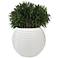 Jaya 19" Wide Gloss White Planter Pot