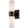 1_Jayme 13 1/2" High Copper Bronze Patina 2-Light Wall Sconce