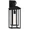 John Timberland Califa 20" High Black and Clear Glass Outdoor Light