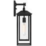 John Timberland Califa 20" High Black and Clear Glass Outdoor Light