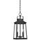 John Timberland Jubliee 19 1/4" Black 2-Light Outdoor Hanging Light