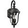 John Timberland Park Sienna 22 1/4" High Downbridge Outdoor Wall Light