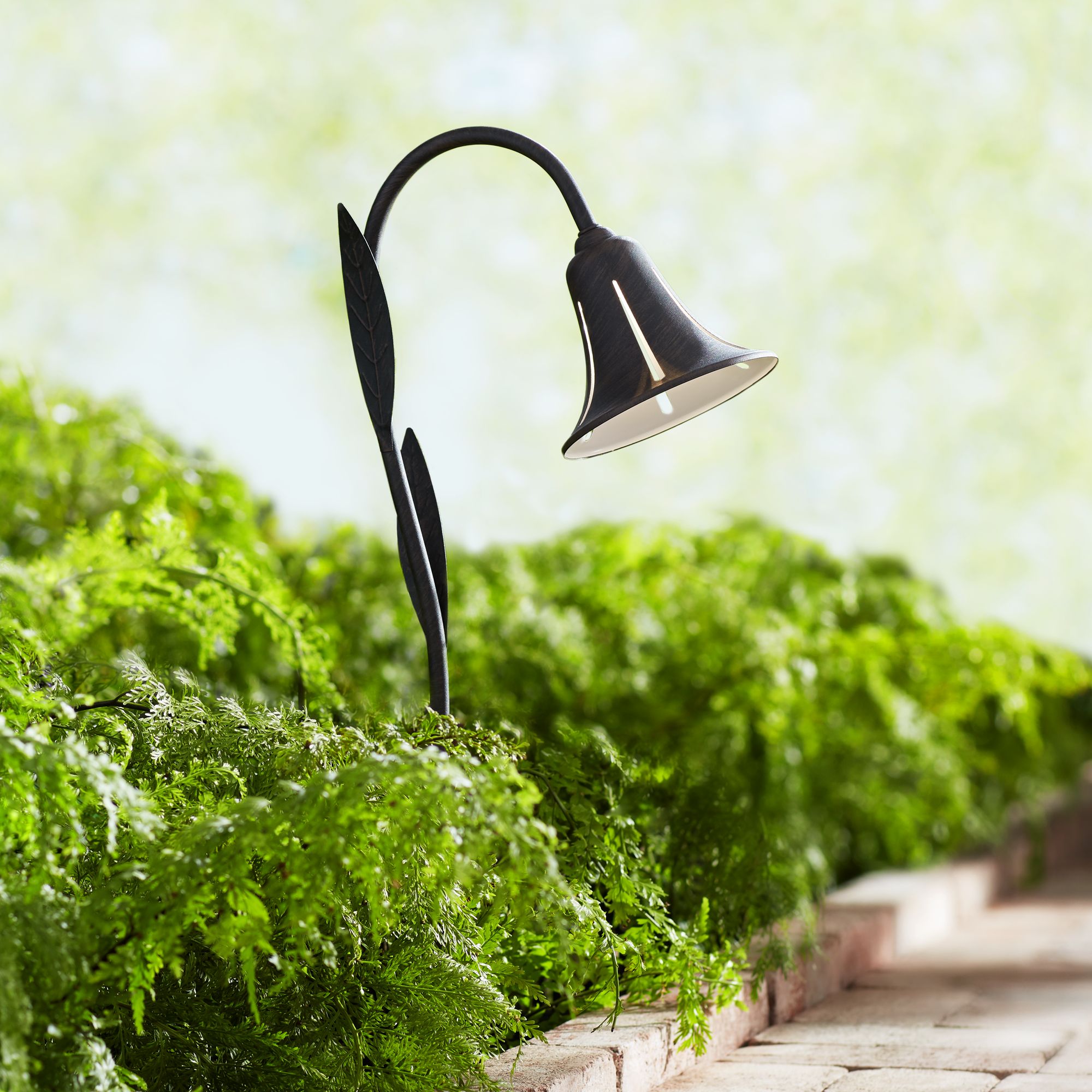 John Timberland TULIP Collection