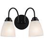 2_Jolie 13-in 2-Light Black Traditional Vanity light