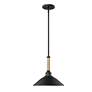 2_Journey 12" Wide Pendant in Natural Black more views