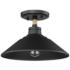 Journey 12" Wide Semi-Flush in Natural Black with Natural Black