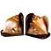 Judith Edwards Designs Shell Bookends Set