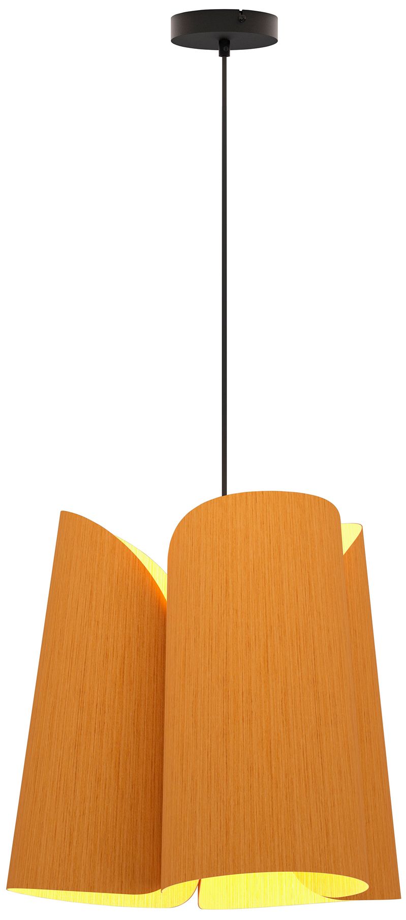 Julieta 20" Wide Black Finish Pendant Petiribi Shade