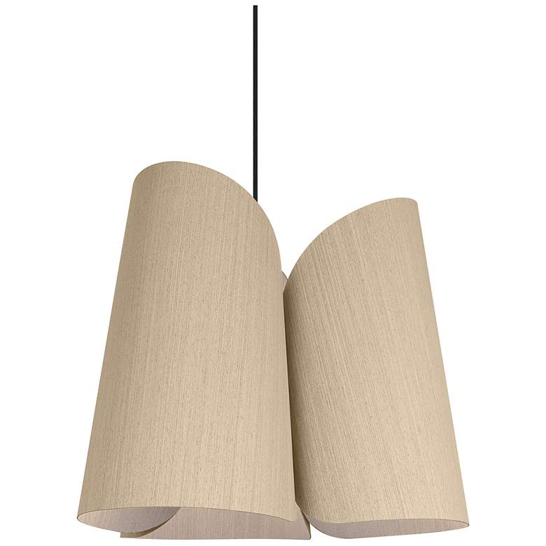 Image 1 Julieta Pendant WEP Light Collection - Black Finish - Ash Shade