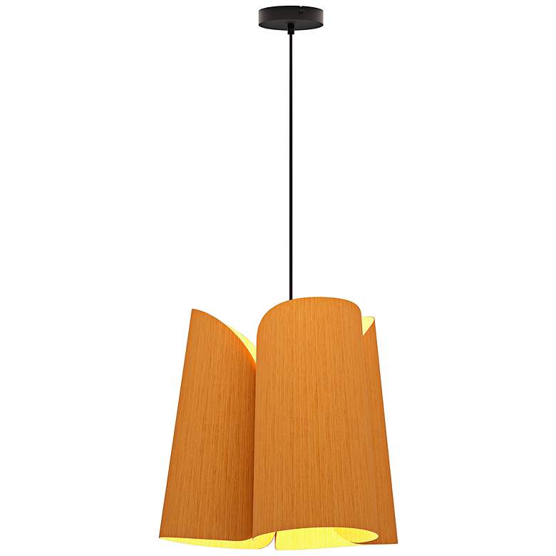 Image 1 Julieta Pendant WEP Light Collection - Black Finish - Petribi Shade