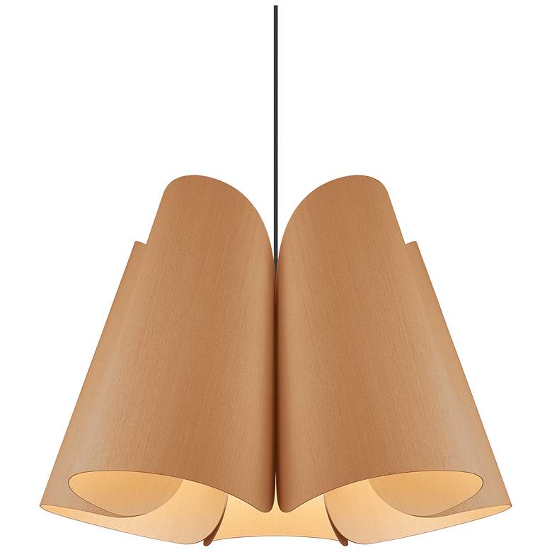 Image 1 Julieta Pendant WEP Light Collection - Black Finish - Petribi Shade