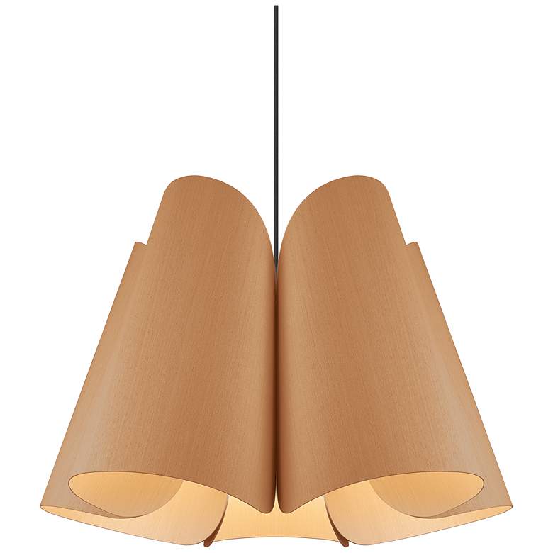 Image 1 Julieta Pendant WEP Light Collection - Black Finish - Petribi Shade