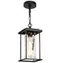 1_Jushoa 14.2" High Black Glass Outdoor Hanging Light