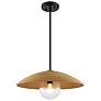 2_Justice Design Caribe 18" Wide Matte Black Pendant Light