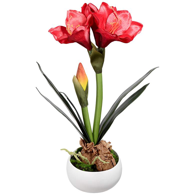 Image 1 Kafir Lily 17" High Silk Potted Plant With Red Flowers