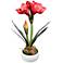 Kafir Lily 17" High Silk Potted Plant With Red Flowers