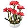 Kafir Lily 25" High Silk Potted Plant