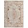 Kaia Distressed Indoor Tan Area Rug 39GKF 2' x 3'