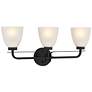 2_Kaitlen 24 1/4" Wide Coal 3-Light Bath Light