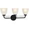 Kaitlen 24 1/4" Wide Coal 3-Light Bath Light