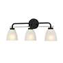 3_Kaitlen 24 1/4" Wide Coal 3-Light Bath Light more views