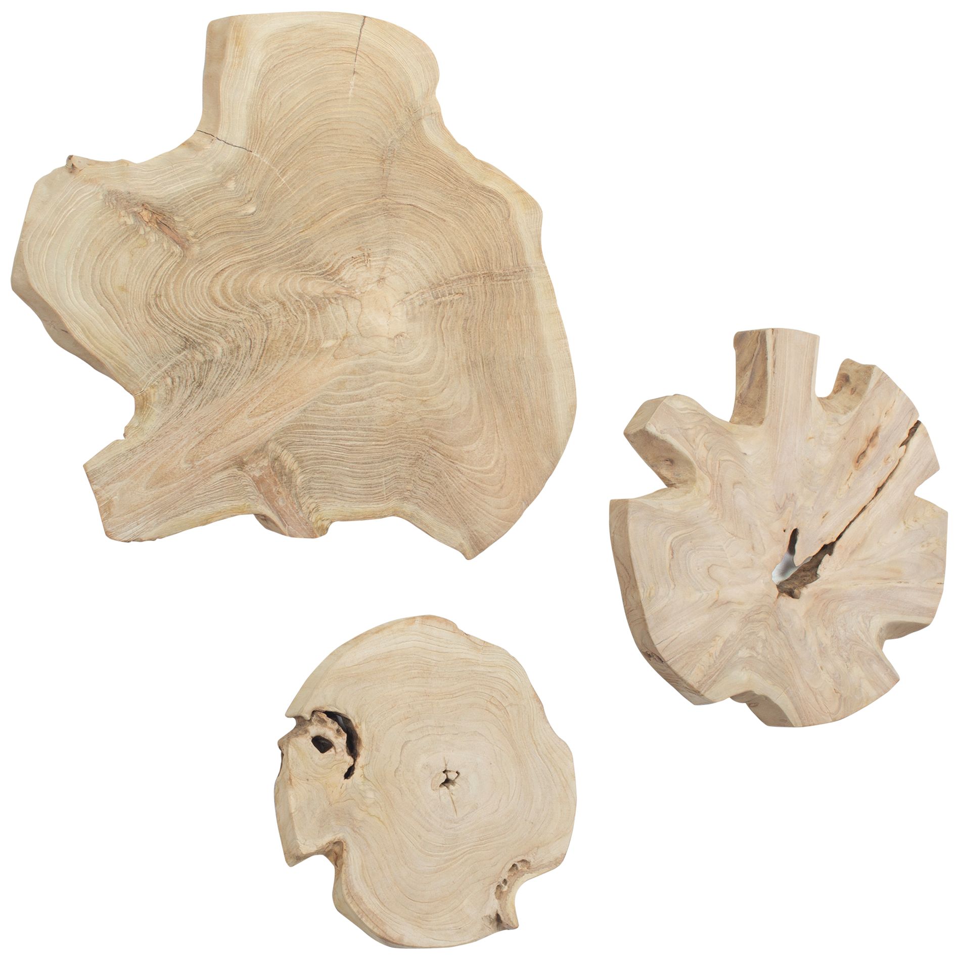 Image 2 Kalani 3-Piece Bleached Wood Indoor-Outdoor Wall Decor Set more views