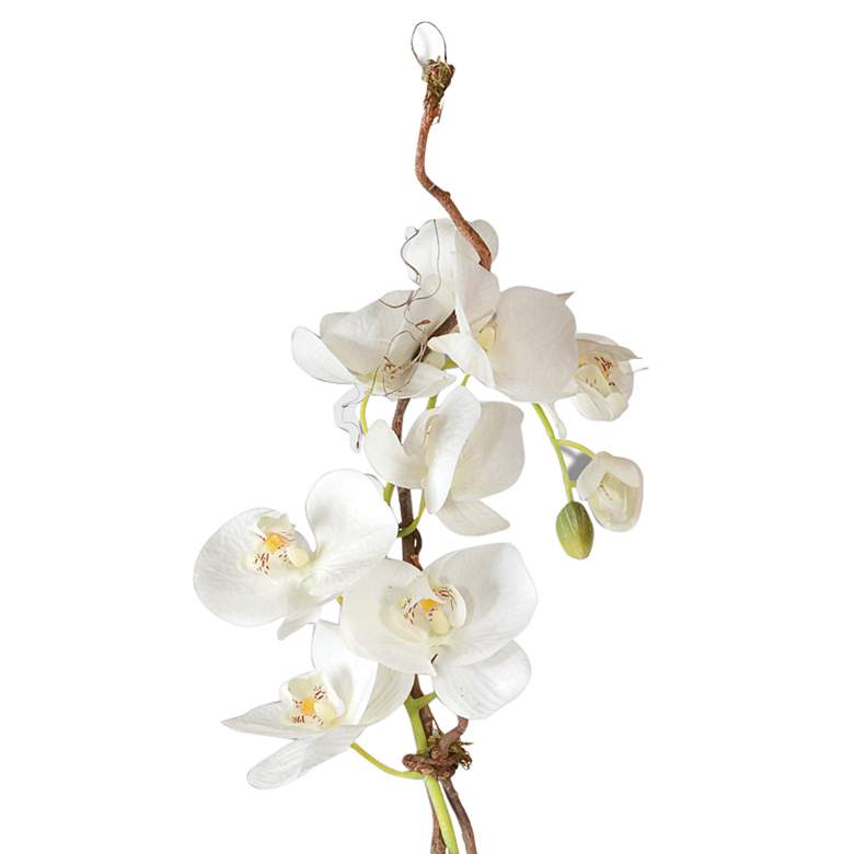 Image 4 Kaleama Orchids, White more views
