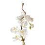 Kaleama Orchids, White in scene