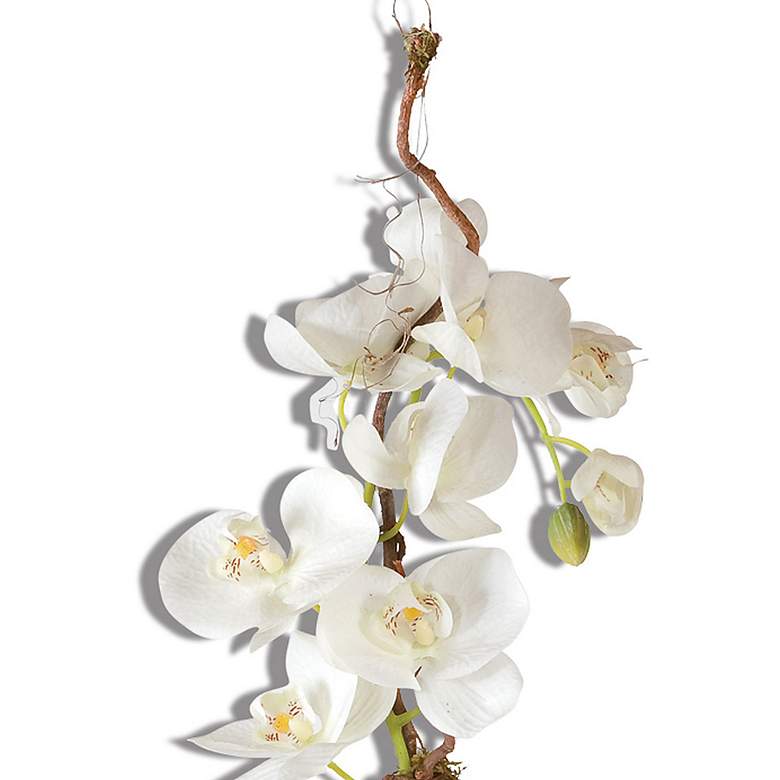 Image 5 Kaleama Orchids, White more views