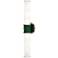 Kane 21.75" High Jungle Finish Polished Nickel Accent Wall Sconce